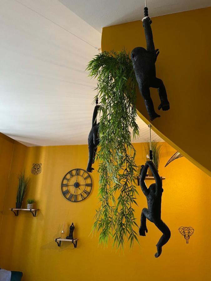 Jungle * Romans-sur-Isère